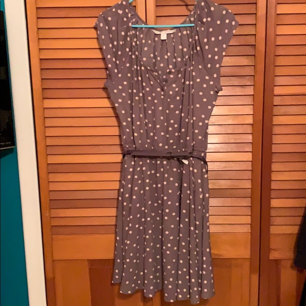 Lauren Conrad for Kohl’s purple polkadot dress